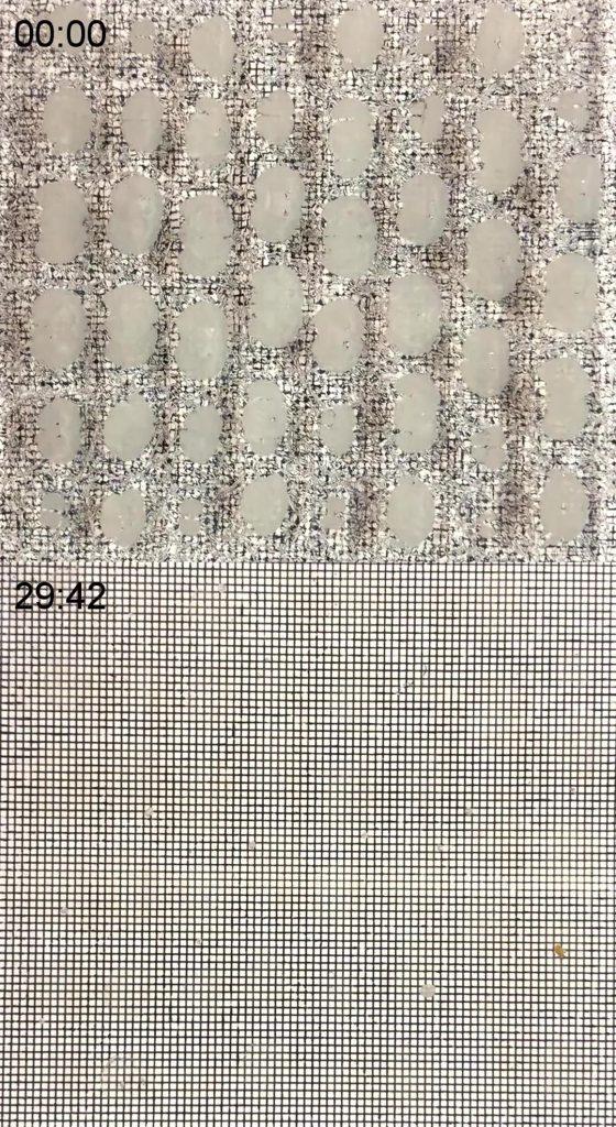 脑片透明化前后对比